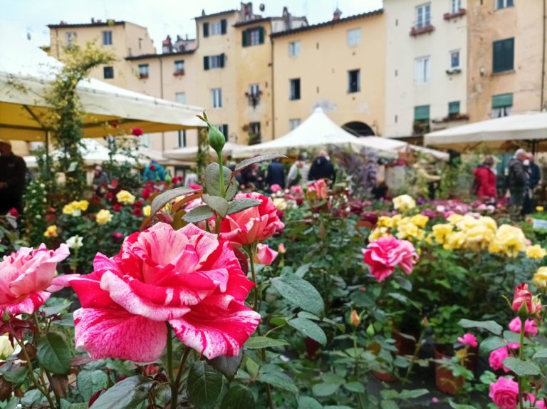 A Lucca è tornata la fiera di Santa Zita