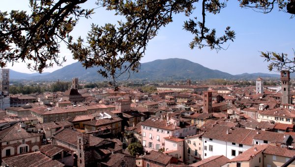 COMUNE DI LUCCA: Prorogata la scadenza per il bando affitti 2026. COMUNE DI LUCCA: Prorogata la scadenza per il bando affitti 2026.
