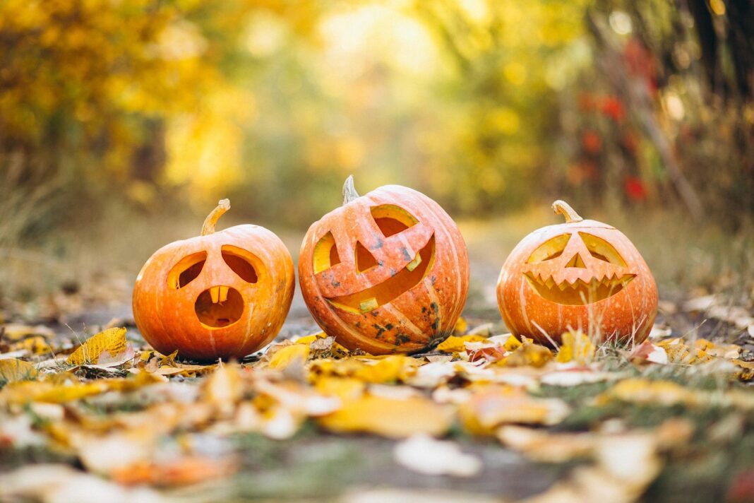 Halloween a Pietrasanta si fa… in tre Halloween a Pietrasanta si fa… in tre